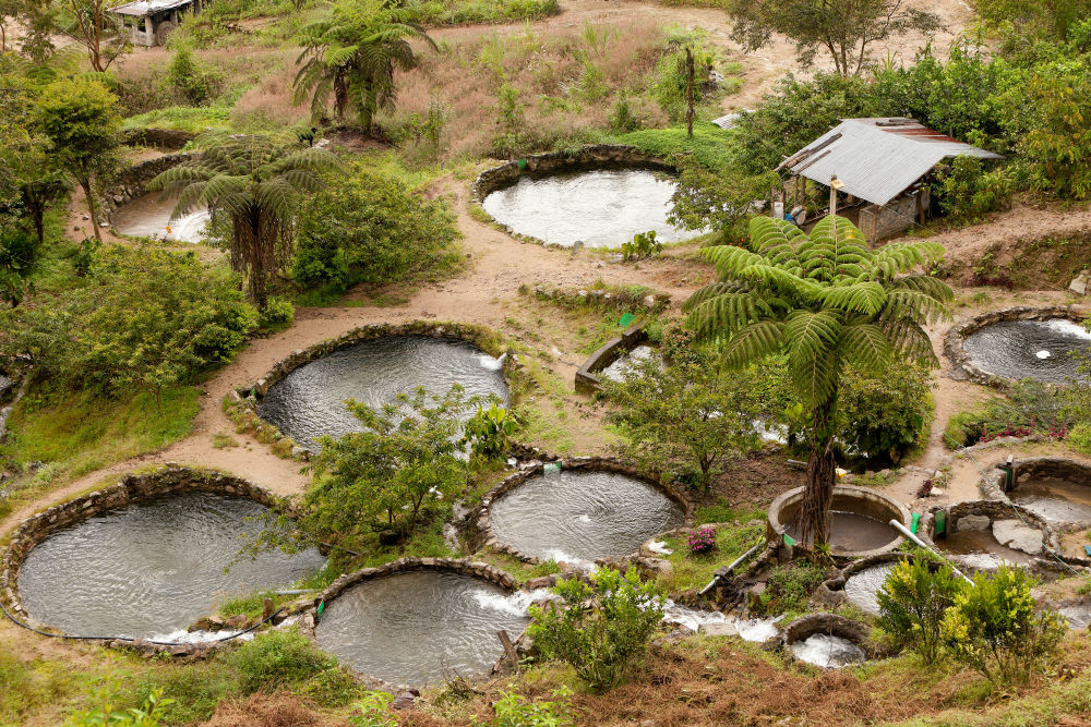 Aquaculture farm