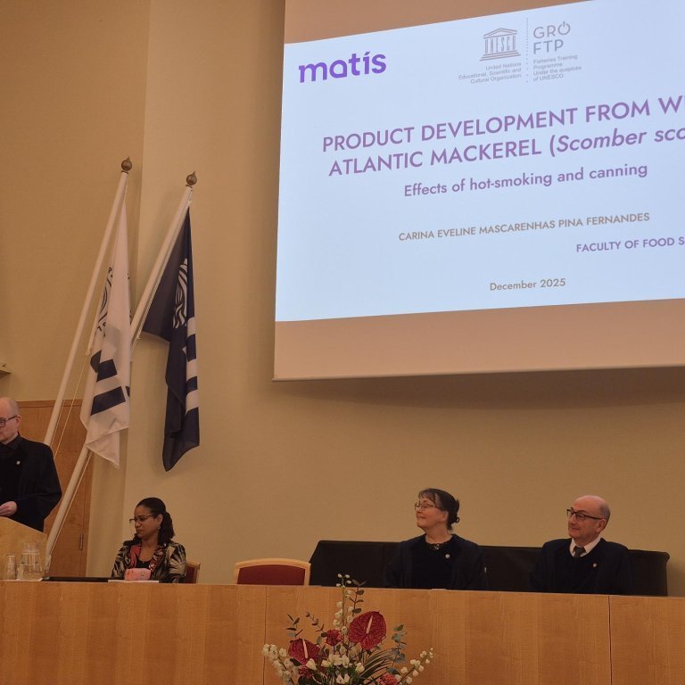 Carina´s PhD defence begins
