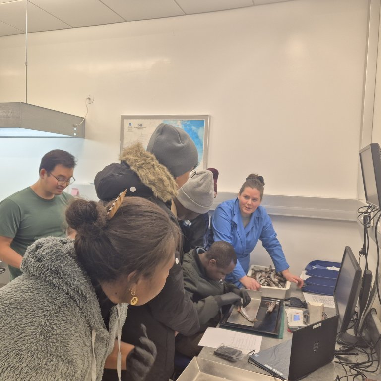 Producing data from samples.