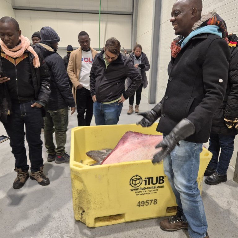 Frozen halibut at the auction market caught the attention of fellows.