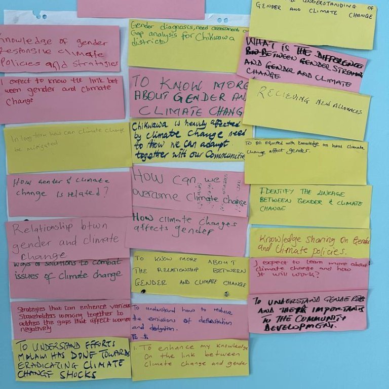 whatsapp-image-2024-08-14-at-073127