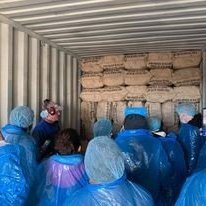 Filling containers with the dried product