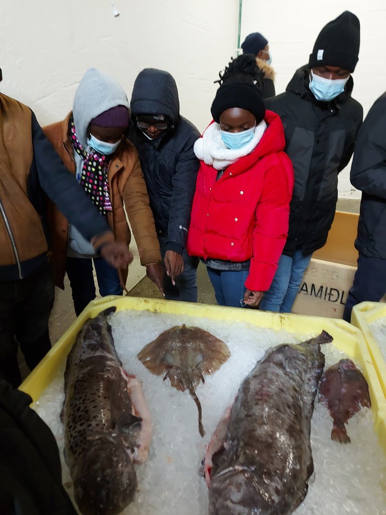 Fellows examine the different species