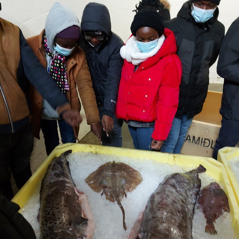 Fellows examine the different species