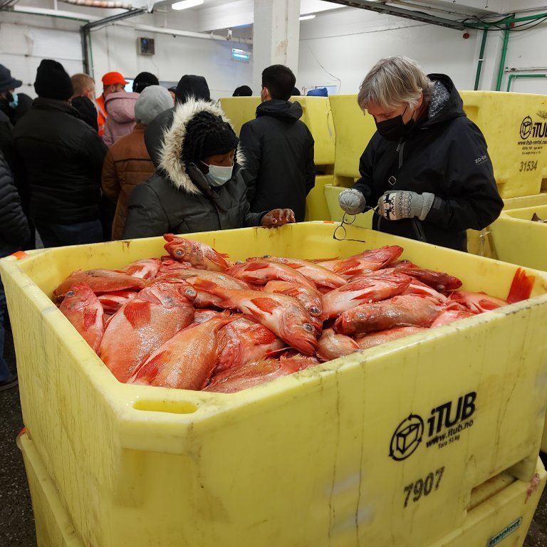 Looking around the auction market