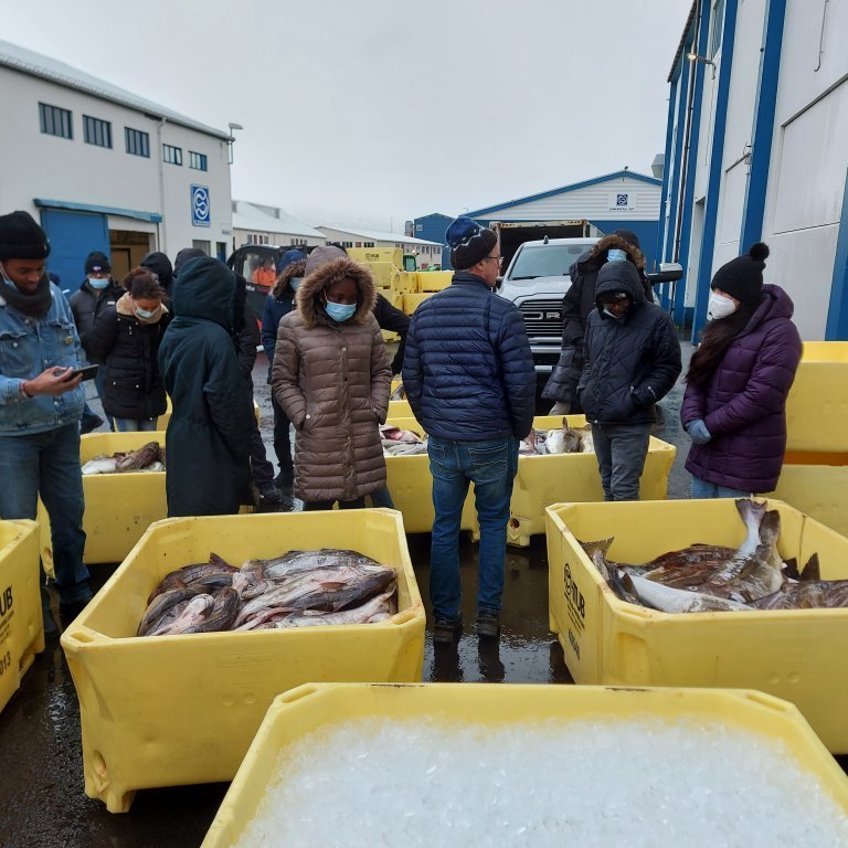 Outside the auction house