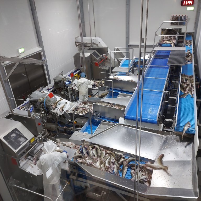 The process is advanced and highly automated