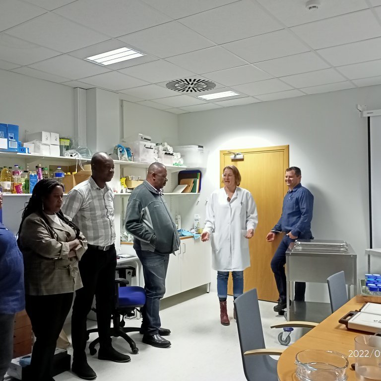 Day 2: Meetings with Matis and GRÓ-FTP II