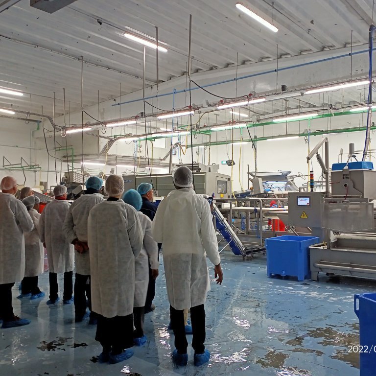 Day 3: Reykjanes excursion, visit to Þorbjörn (a fish processing factory)