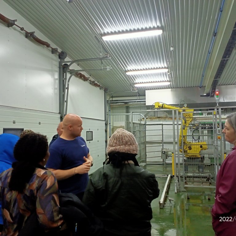 Day 3: Reykjanes excursion, visit to a Haustaak (a fish drying factory) II