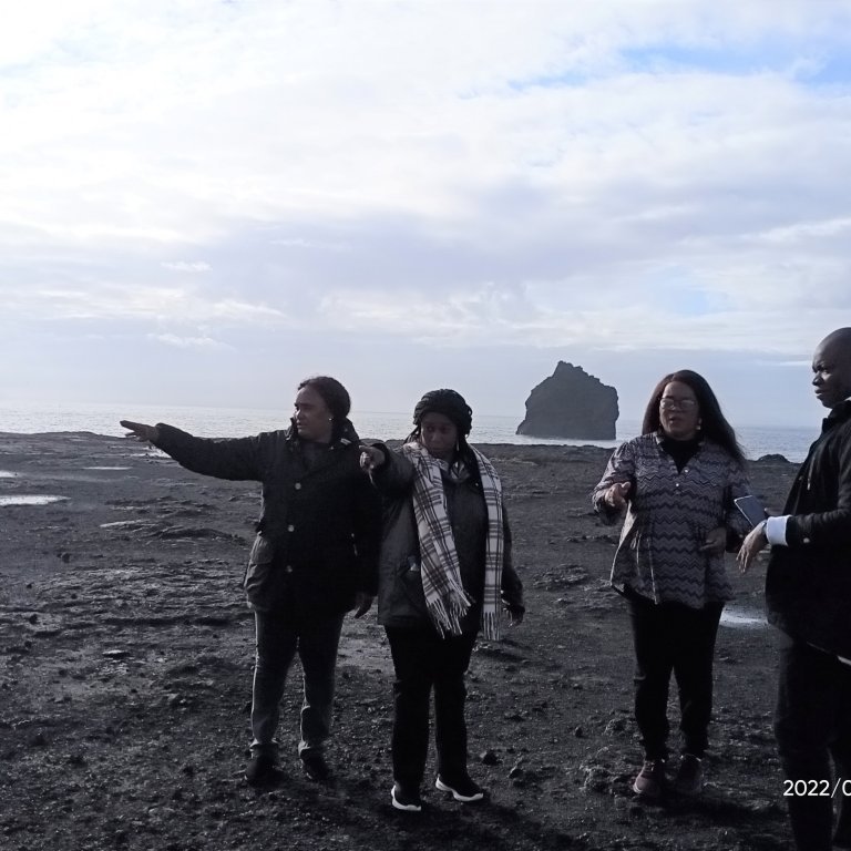 Day 3: Reykjanes excursion, history and nature II