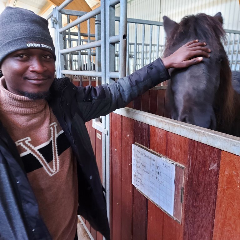 The Equine studies centre