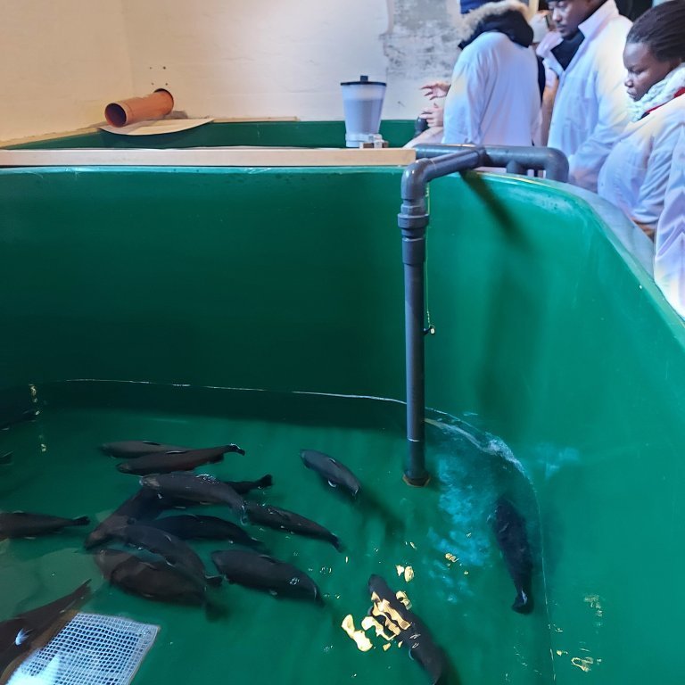 The Arctic Char broodstock facility