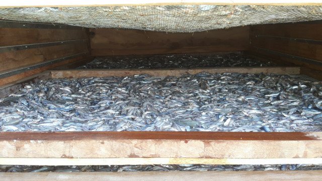 A Workshop On The Use Of The New Smoking Kiln For Fisheries Officers In A Workshop On The Use Of The New Smoking Kiln For Fisheries Officers In