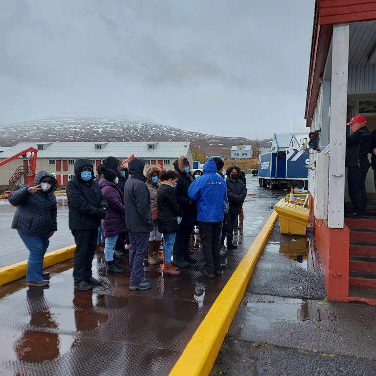 FTP fellows and staff weigh in at 2.4 metric tons!
