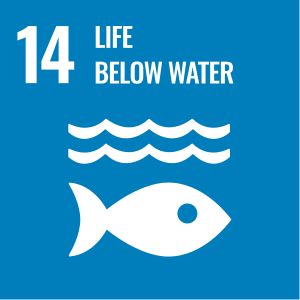 sustainable_development_goal_14lifebelowwatersvg