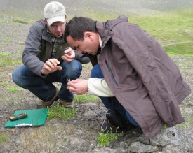 Toshpulat Rajabov (in the front) studying a grass species during a fieldtrip in Iceland 2009