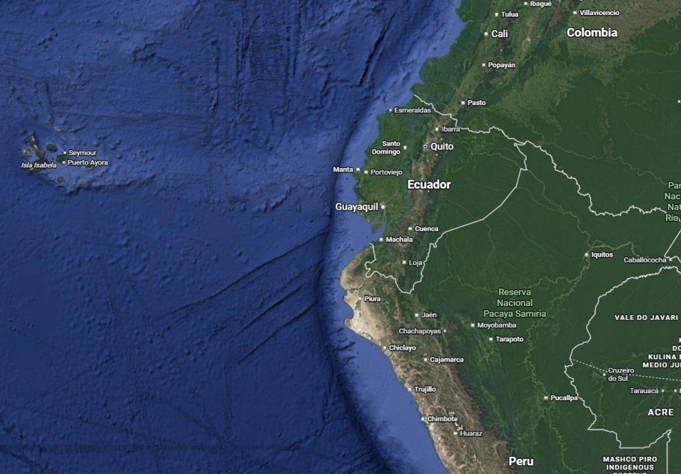 Ecuador is one of the leading tuna fishing and processing nations in South America.