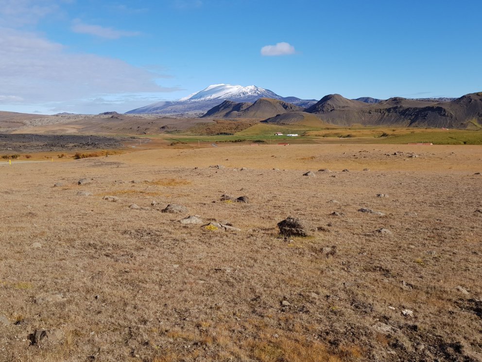 Celebrating the World Day to Combat Desertification