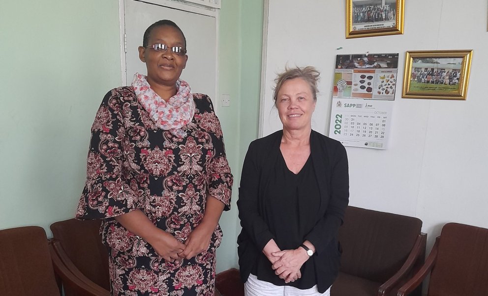 Ms Gertrude Kambauwa, Director of the Department of Land Resources Conservation, at the Ministry of …