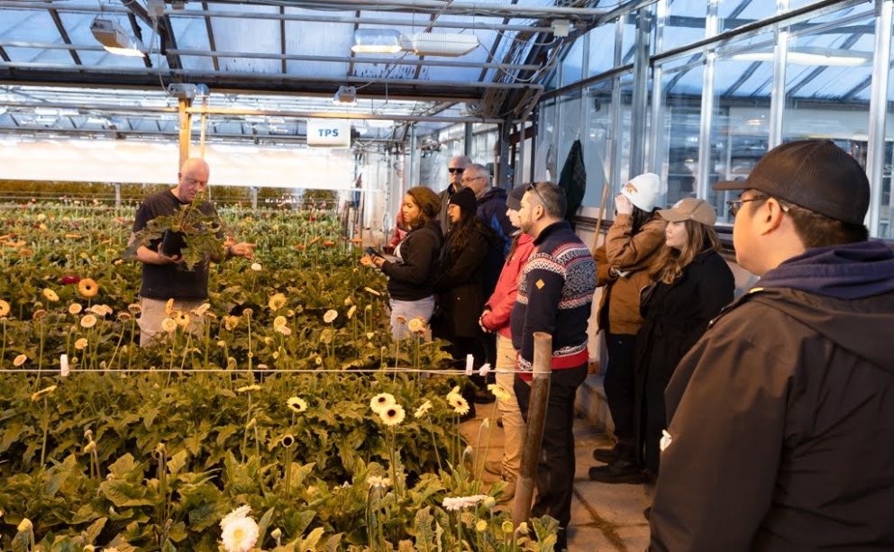 Visiting a flower farm which uses geothermal resources to grow flowers all year round