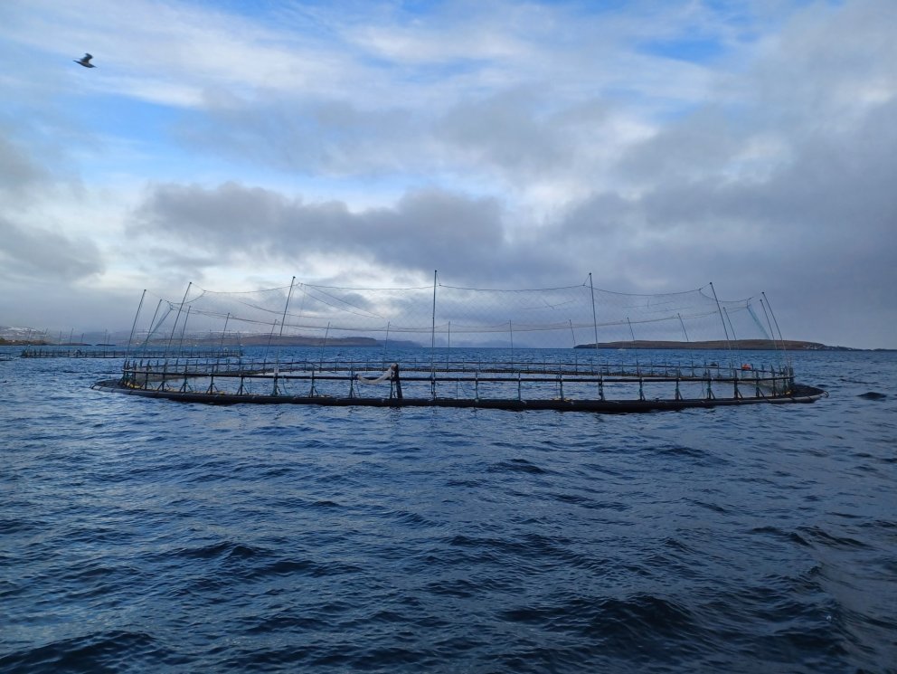 GRÓ-FTP Sustainable Aquaculture fellows in Faroe Islands