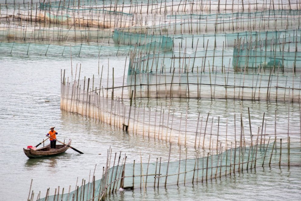 Sustainable aquaculture 2nd session