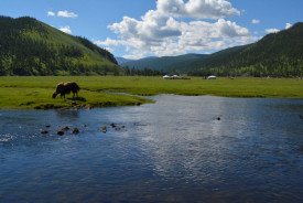 New learning platform on landscape restoration