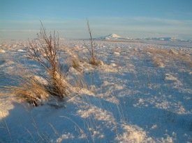 Best wishes for a festive season and a happy new year