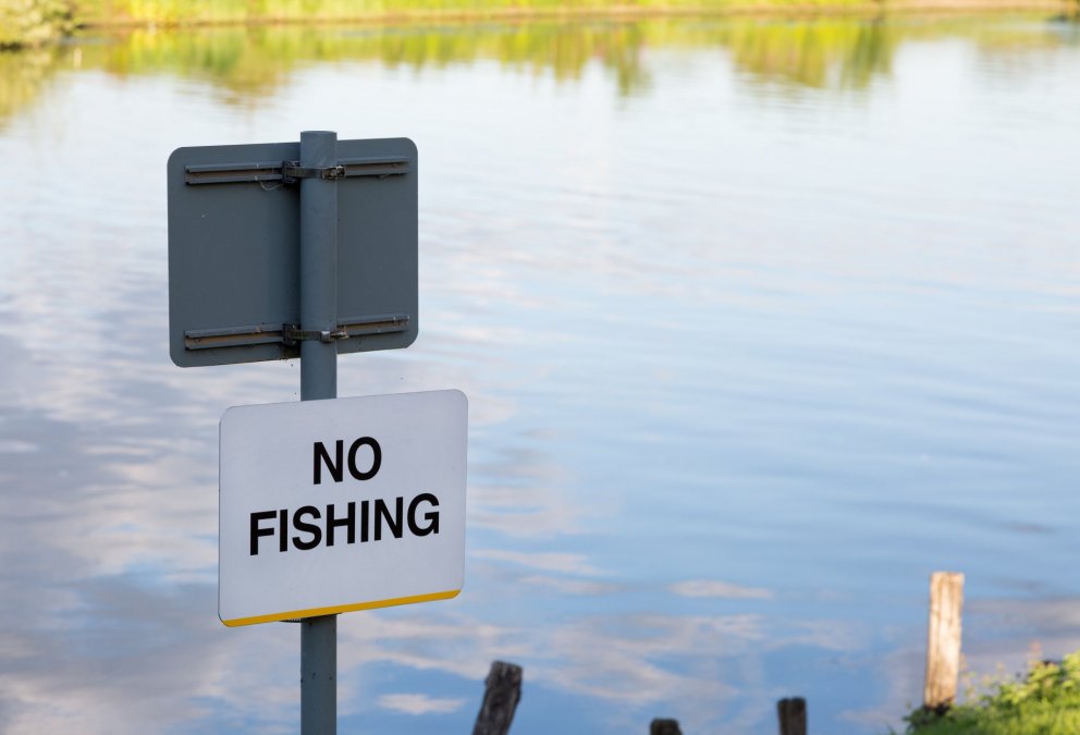 SDG 14: Small projects for big impact in fisheries