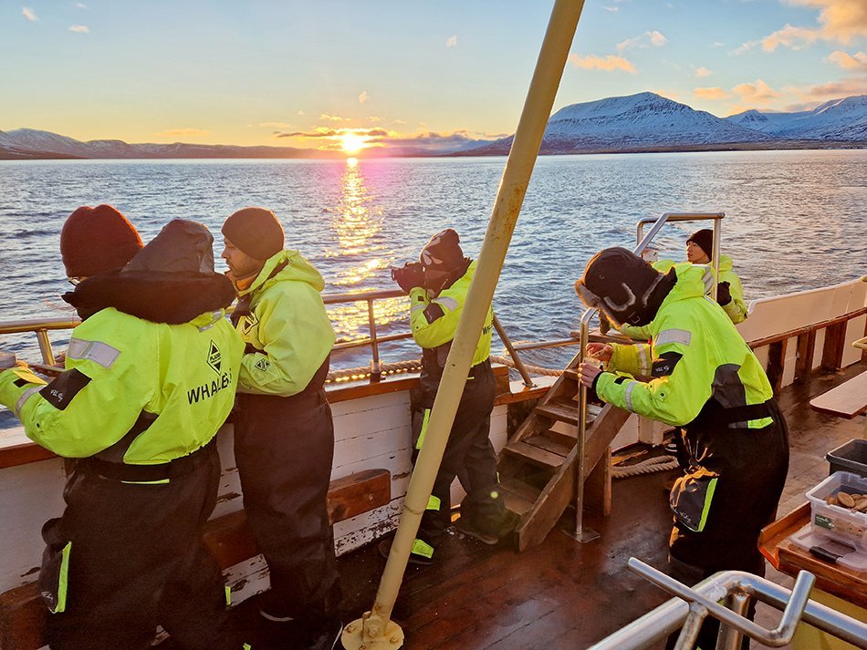 Fellows watching humpback whales in Eyjafjordur. Photo: Magnús Víðisson