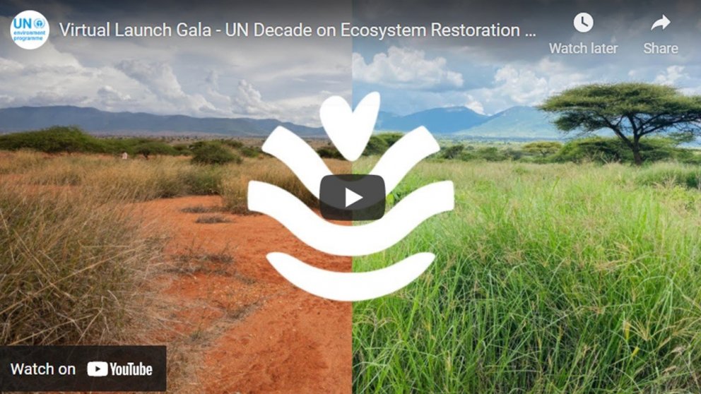 UN Decade Launch Gala