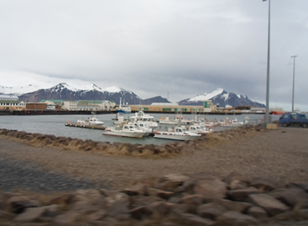 Fishing boats in the harbour of Höfn í Hornafirði, south-east Iceland