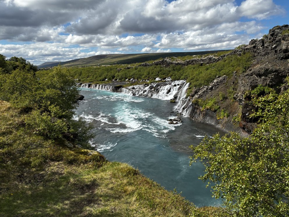 Celebrating 2025 World Environment Day and GRÓ LRT Day