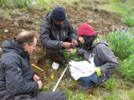 Applying methods learned in class