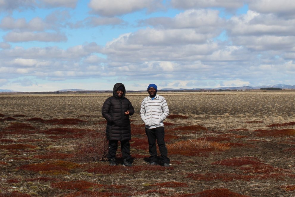 Visit to Land and Forest Iceland in Gunnarsholt