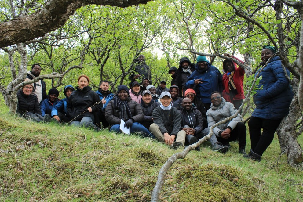 The group within the remnants of birch woodlands found in the vicinity of Mount Hekla
