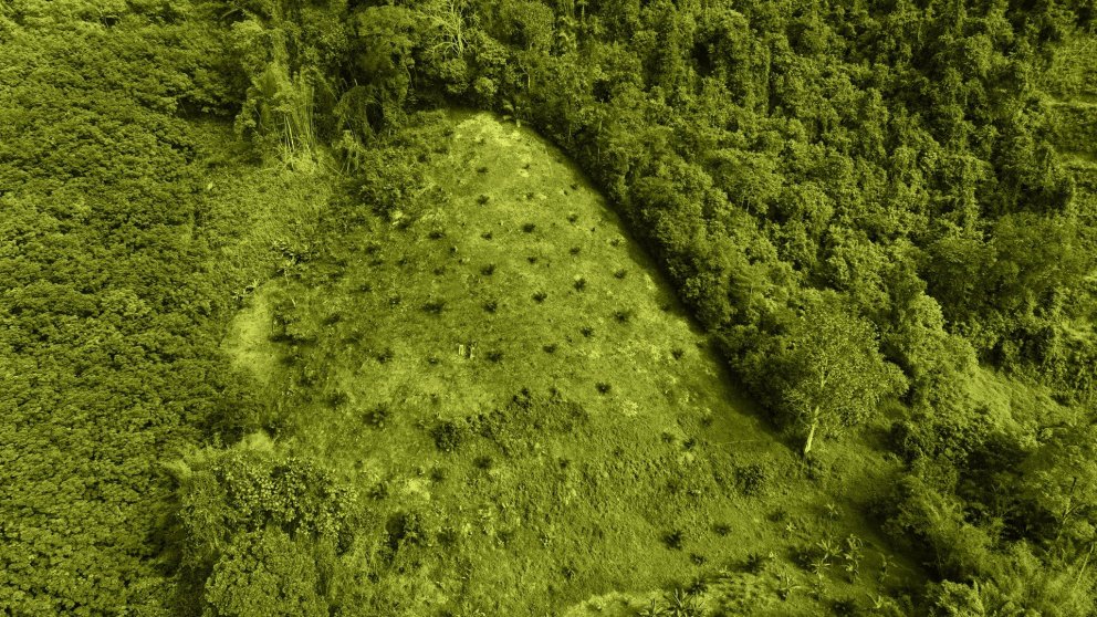 From Knowledge to Development Impact: Ecosystem Restoration and Sustainable Land Management