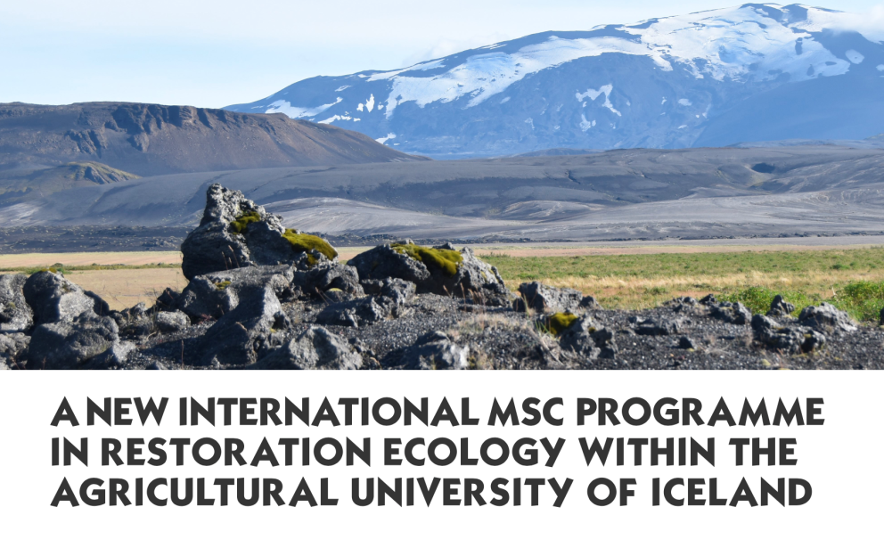 New Restoration Ecology Master's programme at AUI