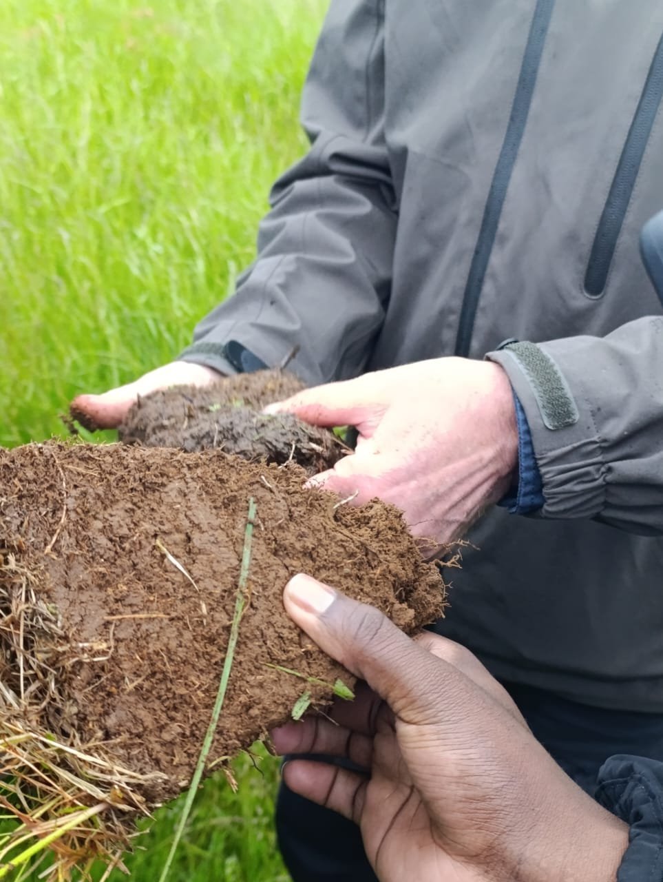 GRÓ LRT Fellows Explore Restored Wetlands in South Iceland