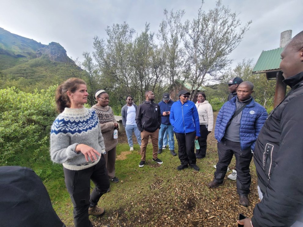 GRÓ LRT Fellows Visit Þórsmörk