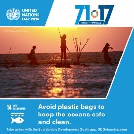 United Nations for 72 years