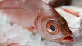 Quality management: Presentation of fellows' final projects