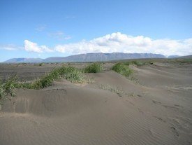 New review paper on sandy deserts