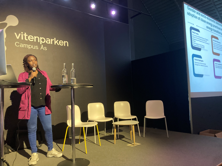 Stella Tereka Calls for Gender-Sensitive Energy Transitions