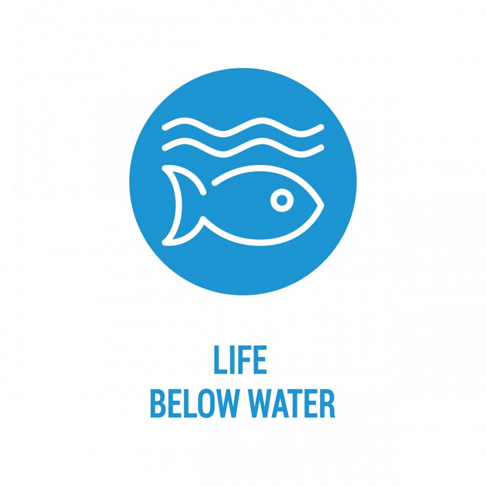 Coming soon! SDG 14 video series