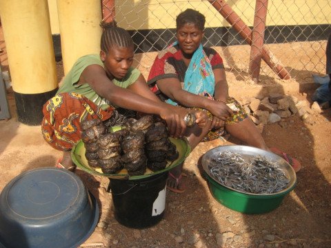 UNU-GEST Researchers in Nordic Africa Days 2016