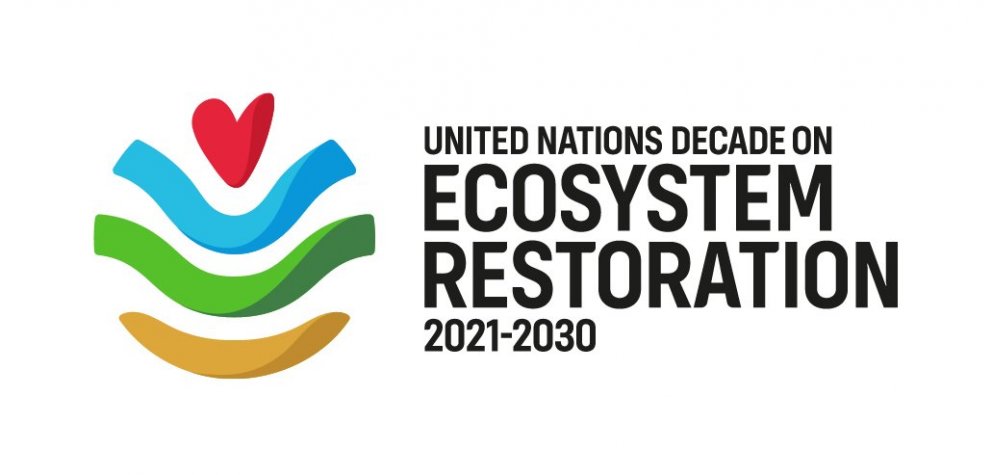GRÓ LRT Supporting Partner of the UN Decade on Ecosystem Restoration