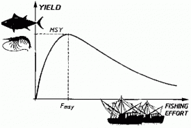 More exciting lectures