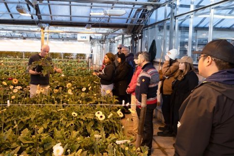 Visiting a flower farm which uses geothermal resources to grow flowers all year round